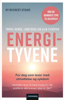 Energityvene av Torkil Berge, Lars Dehli og Elin Fjerstad (Ebok)