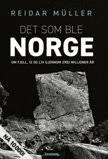 Det som ble Norge av Reidar Müller (Ebok)