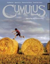 Cumulus 4 av Stig Bjørshol, Sigmund Lie, Wenche Hoel Røine og Trond Vidar Vedum (Innbundet)