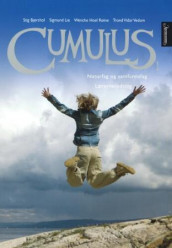 Cumulus 1 av Stig Bjørshol, Sigmund Lie, Wenche Hoel Røine og Trond Vidar Vedum (Perm)