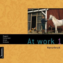 At work 1 av Audun Rugset, Josephine Stenersen, Eva Ulven og Jeanne Eirheim (Lydbok-CD)