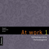 At work 1 av Audun Rugset, Josephine Stenersen og Eva Ulven (Lydbok-CD)