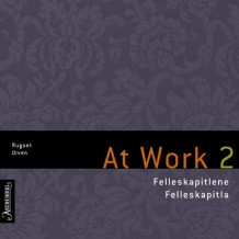 At work 2 av Audun Rugset og Eva Ulven (Lydbok-CD)