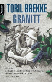 Granitt av Toril Brekke (Ebok)