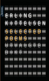 Selected poems av Erling Kittelsen (Heftet)