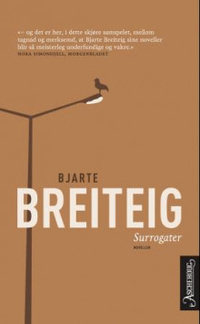 Surrogater av Bjarte Breiteig (Heftet)