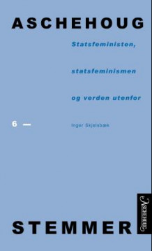 Statsfeministen, statsfeminismen og verden utenfor av Inger Skjelsbæk (Heftet)
