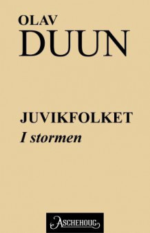 I stormen av Olav Duun (Ebok)