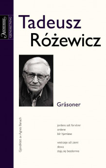 Gråsoner av Tadeusz Rózewicz (Innbundet)