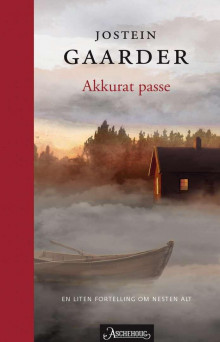 Akkurat passe av Jostein Gaarder (Ebok)