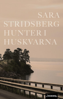 Hunter i Huskvarna av Sara Stridsberg (Innbundet)