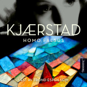 Homo Falsus av Jan Kjærstad (Nedlastbar lydbok)