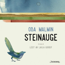 Steinauge av Oda Malmin (Nedlastbar lydbok)