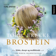 Brostein av Toril Brekke (Nedlastbar lydbok)