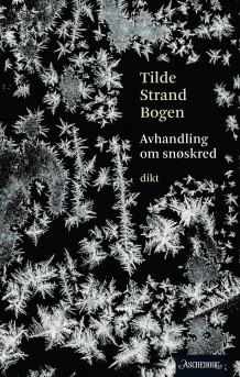 Avhandling om snøskred av Tilde Strand Bogen (Heftet)