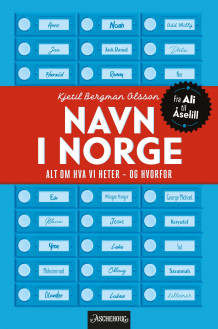 Navn i Norge av Kjetil Bergman Olsson (Innbundet)