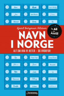 Navn i Norge av Kjetil Bergman Olsson (Innbundet)