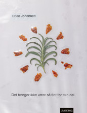 Det trenger ikke være så fint for min del av Stian Johansen (Ebok)