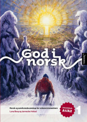 God i norsk 1 av Lena Berg Andersen og Jannecke Hofset (Heftet)
