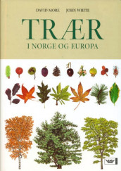 Trær i Norge og Europa av David More (Innbundet)