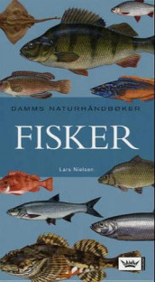 Fisker av Lars Nielsen (Innbundet)