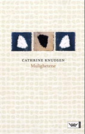 Mulighetene av Cathrine Knudsen (Innbundet)