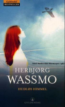 Hudløs himmel av Herbjørg Wassmo (Heftet)