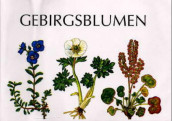 Gebirgsblumen in Skandinavien av Olav Gjærevoll og Reidar Jørgensen (Fleksibind)
