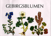 Gebirgsblumen in Skandinavien av Inger Gjærevoll, Olav Gjærevoll og Reidar Jørgensen (Fleksibind)