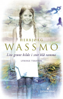 Lite grønt bilde i stor blå ramme av Herbjørg Wassmo (Innbundet)