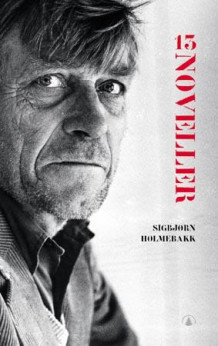 13 noveller av Gordon Hølmebakk og Sigbjørn Hølmebakk (Heftet)