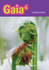 Gaia 6 av Arnfinn Christensen og Ingrid Spilde (Heftet)