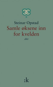 Samle øksene inn for kvelden av Steinar Opstad (Innbundet)