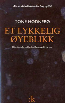 Et lykkelig øyeblikk av Janike Kampevold Larsen og Tone Hødnebø (Heftet)