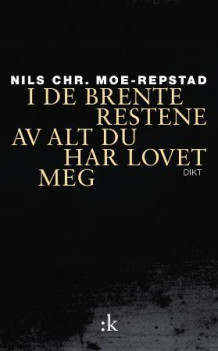 I de brente restene av alt du har lovet meg av Nils Chr. Moe-Repstad (Innbundet)