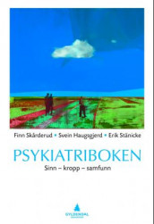 Psykiatriboken av Svein Haugsgjerd, Finn Skårderud og Erik Stänicke (Heftet)