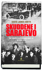 Skuddene i Sarajevo av David James Smith (Innbundet)