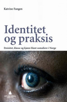 Identitet og praksis av Katrine Fangen (Heftet)