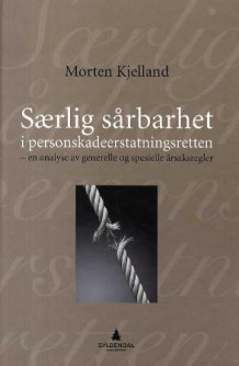 Særlig sårbarhet i personskadeerstatningsretten av Morten Kjelland (Innbundet)