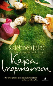 Skjebnehjulet av Kajsa Ingemarsson (Heftet)