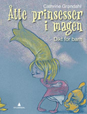 Åtte prinsesser i magen av Cathrine Grøndahl (Innbundet)
