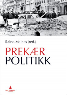Prekær politikk av Raino Malnes (Heftet)