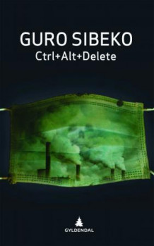 Ctrl+Alt+Delete av Guro Sibeko (Innbundet)