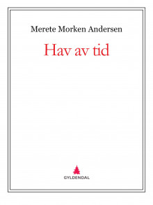 Hav av tid av Merete Morken Andersen (Ebok)