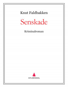Senskade av Knut Faldbakken (Ebok)