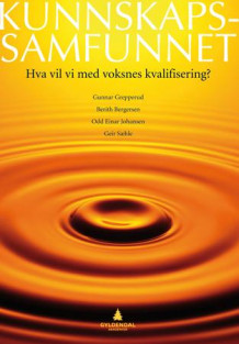 Kunnskapssamfunnet av Gunnar Grepperud, Berith Bergersen, Odd Einar Johansen og Geir Sæhle (Heftet)
