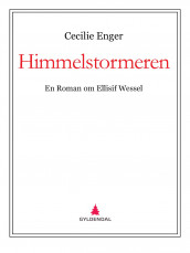 Himmelstormeren av Cecilie Enger (Ebok)