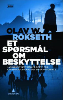 Et spørsmål om beskyttelse av Olav W. Rokseth (Innbundet)