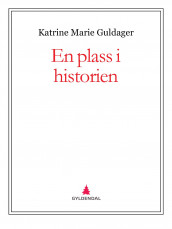 En plass i historien av Katrine Marie Guldager (Ebok)