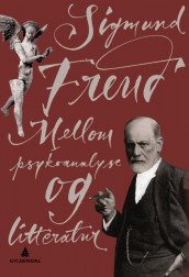Mellom psykoanalyse og litteratur av Sigmund Freud (Innbundet)